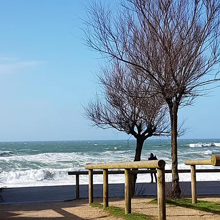 Apartamento Résidence Le Point D'or- Pour 2 Personnes Avec Vue Sur L'océan Soorts-Hossegor